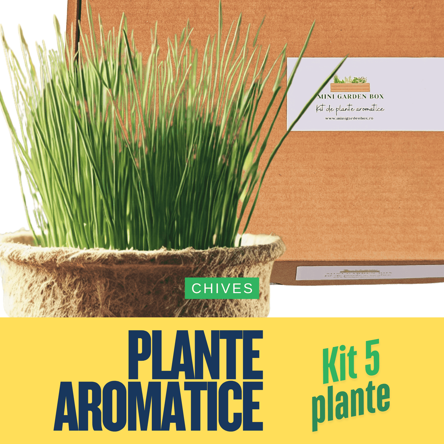 Mini Garden Box: Set de Plante Aromatice DIY Ierburi aromatice