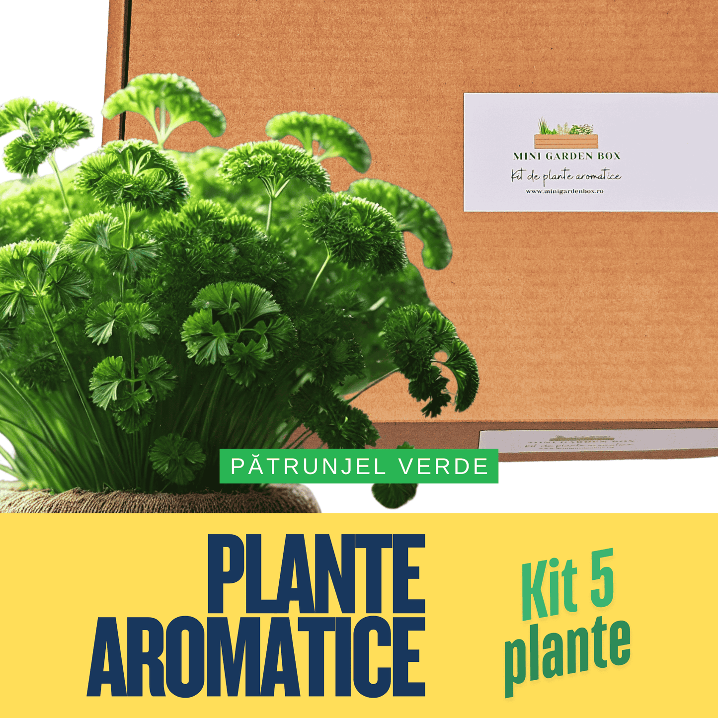 Mini Garden Box: Set de Plante Aromatice DIY Ierburi aromatice
