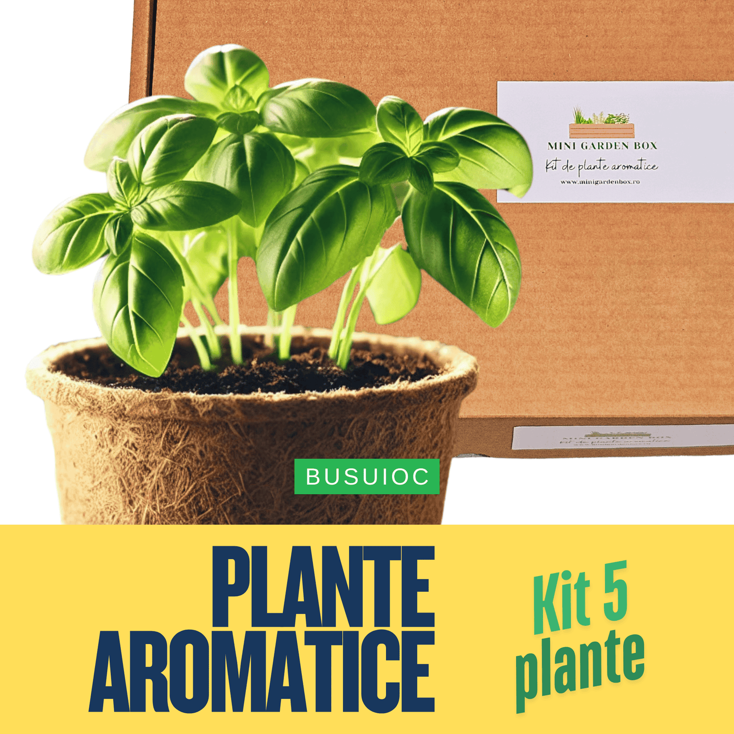 Mini Garden Box: Set de Plante Aromatice DIY Ierburi aromatice