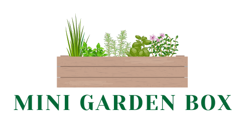 Mini Garden Box