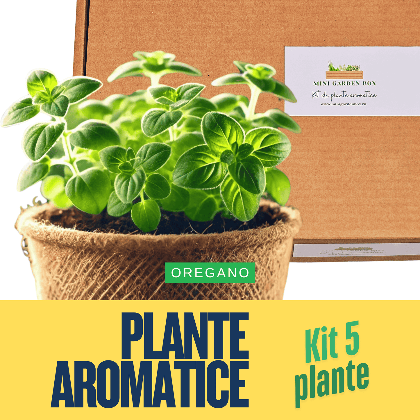 Mini Garden Box: Set de Plante Aromatice DIY Ierburi aromatice