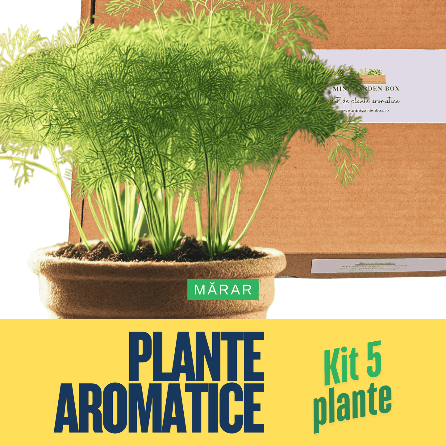 Mini Garden Box: Set de Plante Aromatice DIY Ierburi aromatice